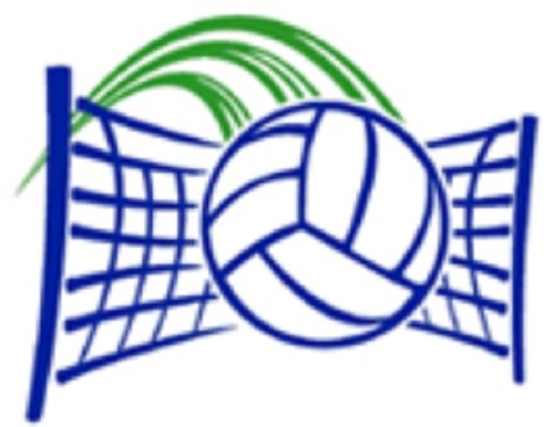 volleyball2